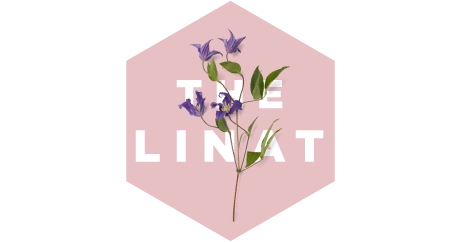 the-pollinators-logo-pink-hexagon-white-text