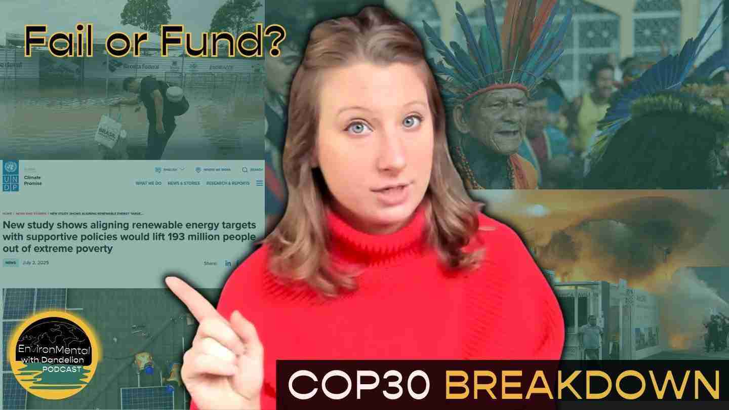 Did COP30 Fail or Fund a New Climate Economy?