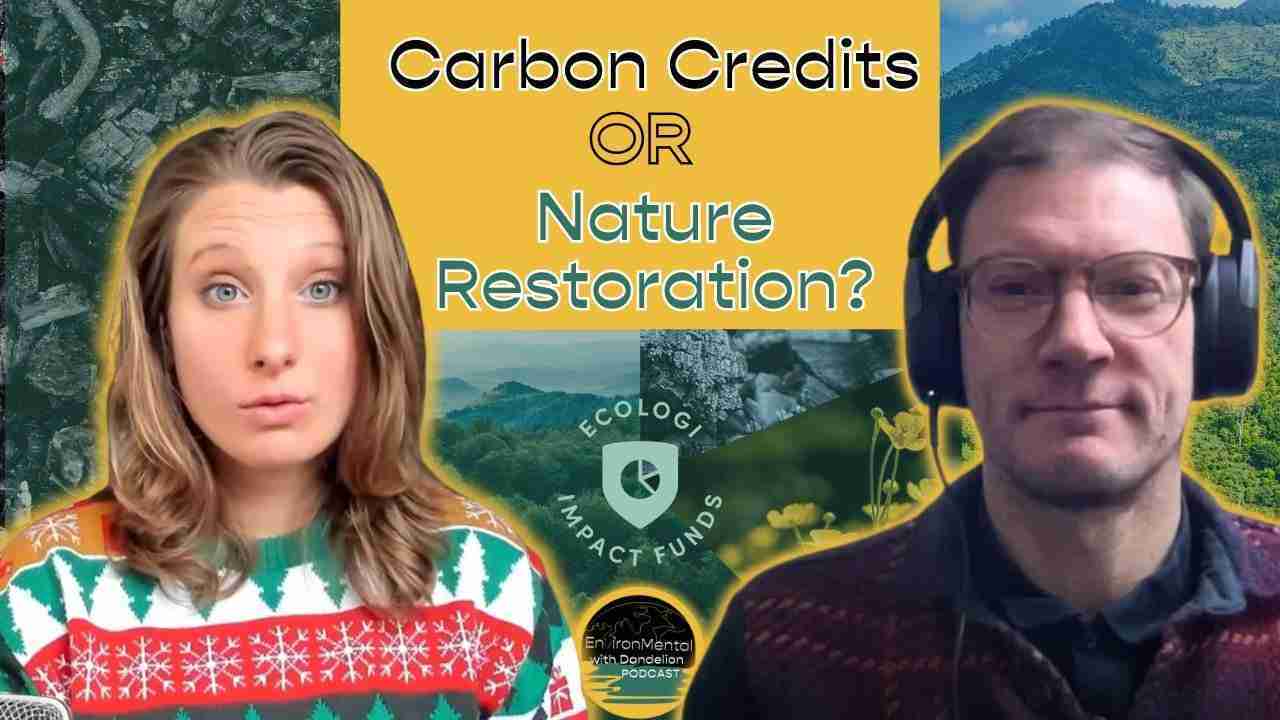 Carbon Credits or Climate Action? Ecologi Asks, “Why Choose?”