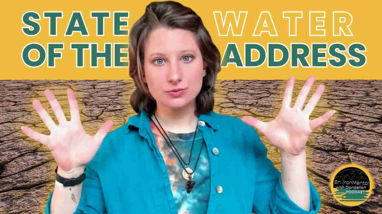 The State of the Water March 2026 | EnvironMental Podcast