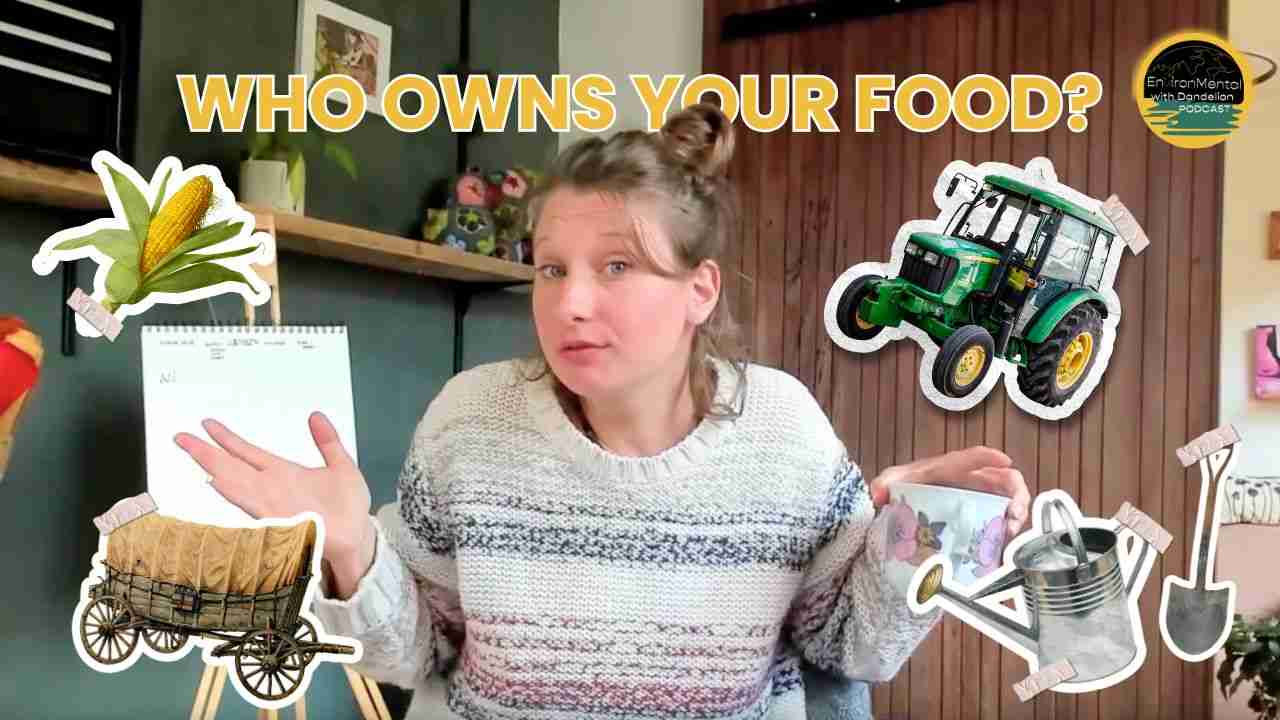Extractive Tapestry 6: How Big Ag Monopoly Stole Our Food System
